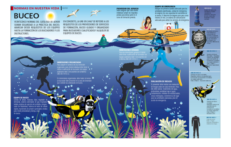 Normas de Seguridad en Buceo y Equipos | PDF | Buceo bajo el agua