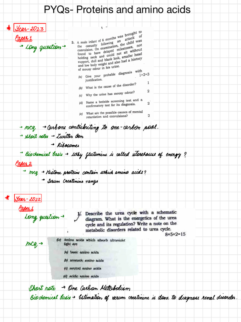 Proteins and Amino Acids Exam Insights | PDF | Proteins | Biochemistry