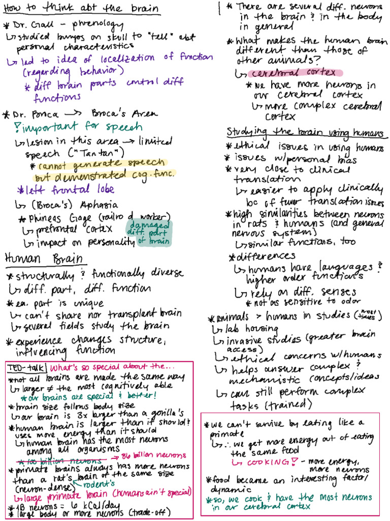 Kami Export - PSYC304 Lecture 1 Written Notes | PDF