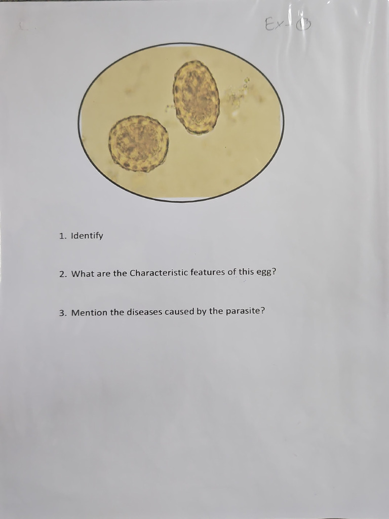 Parasite Egg Identification Guide | PDF