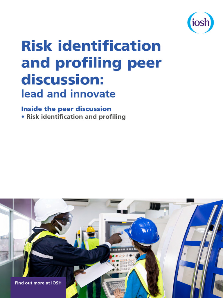 Risk Identification and Profiling Guide | PDF | Risk | Risk Assessment