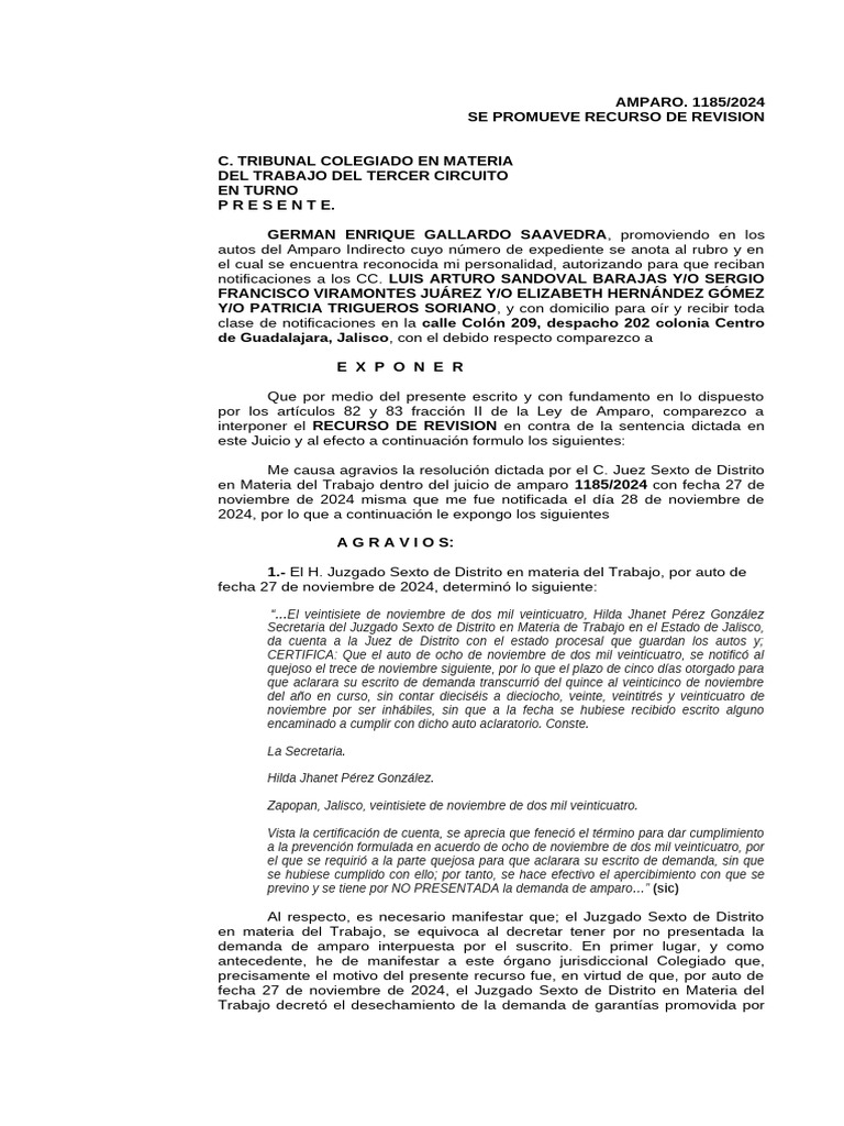 Recurso de Revisión en Amparo 1185/2024 | PDF | Demanda judicial | Justicia