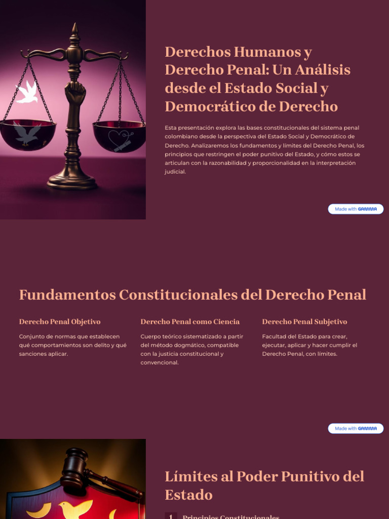 Derechos Humanos y Derecho Penal Un Analisis Desde El Estado Social y ...