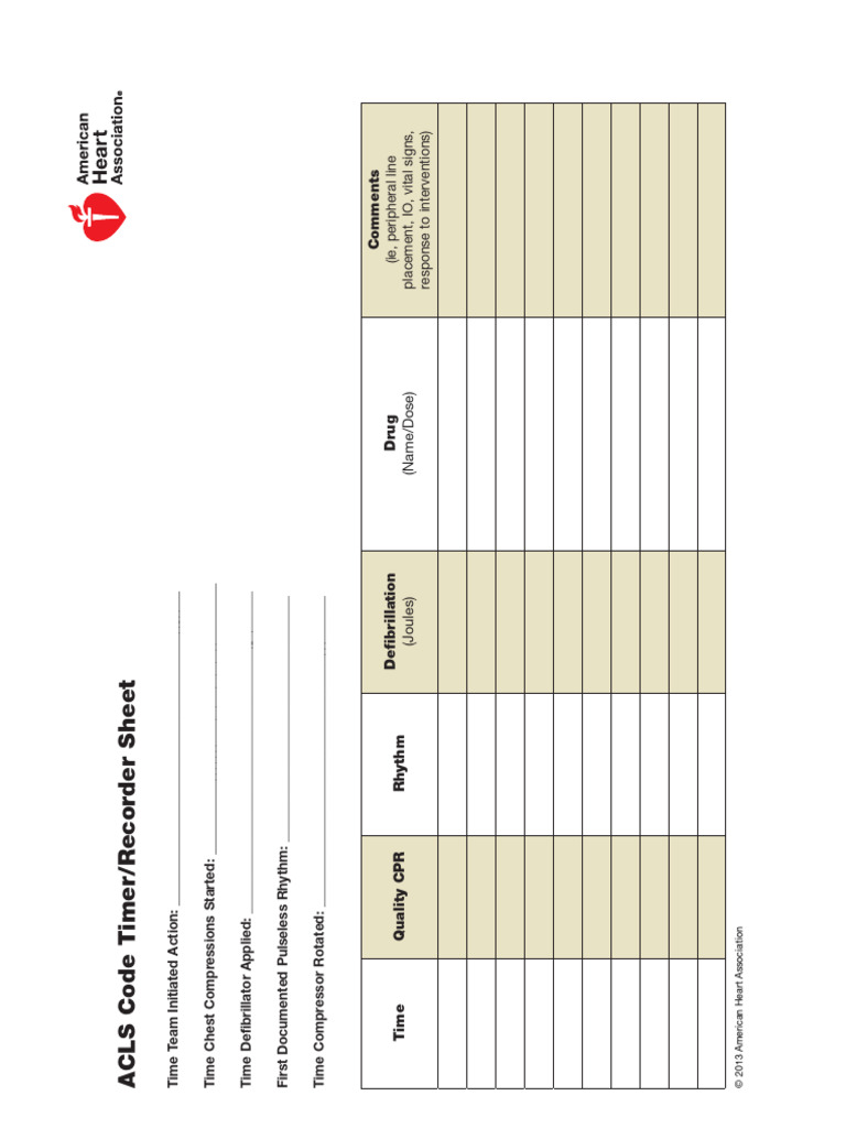 ACLS Code Timer and Recorder Sheet | PDF