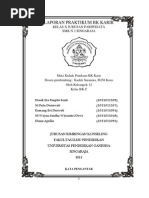 Download Laporan by Era Puspita SN97560573 doc pdf