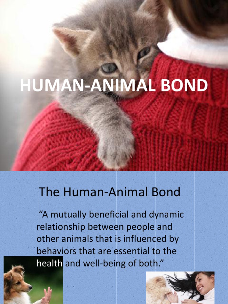 Understanding the Human-Animal Bond | PDF | Pet | Dogs