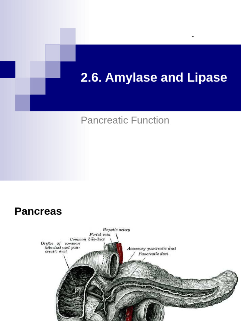 2.6 Amylase and Lipase | PDF | Pancreas | Medical Specialties