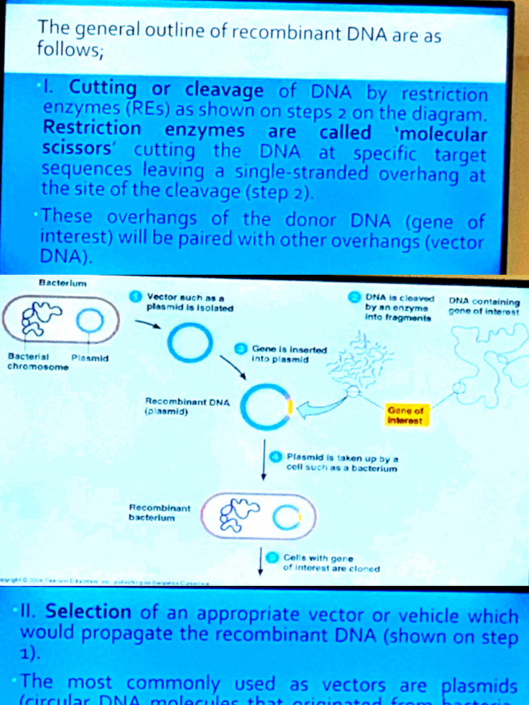 Gen Bio 2 | PDF