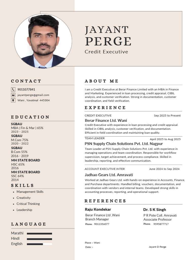 Credit Executive Profile: Skills & Experience | PDF | Business Process ...