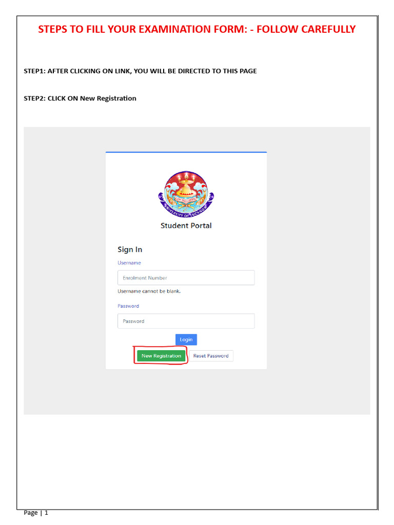 Steps To Fill Your Examination Form | PDF