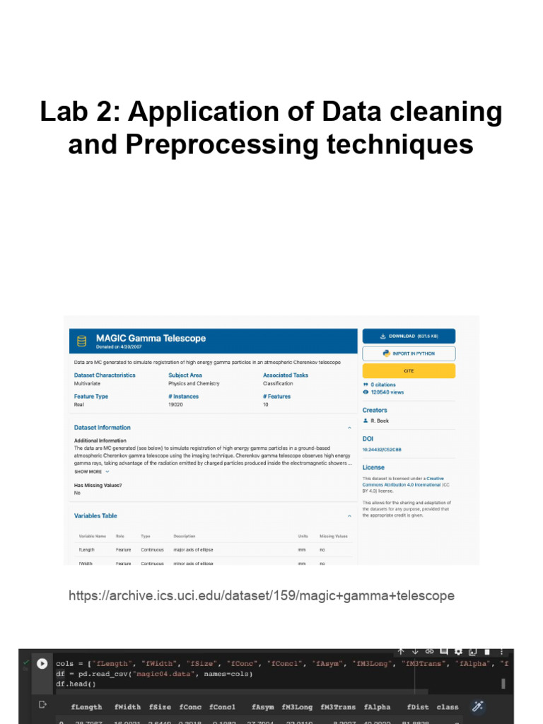 Lab 2 - Application of Data Cleaning and Preprocessing Techniques | PDF