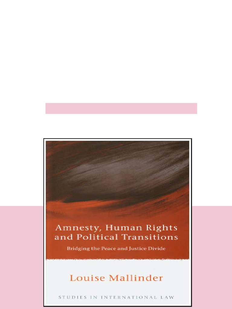 Amnesty Human Rights And Political Transitions Bridging The Peace And ...