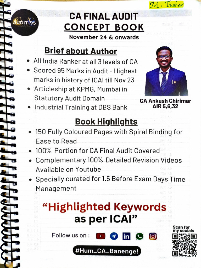 Audit (I) | PDF