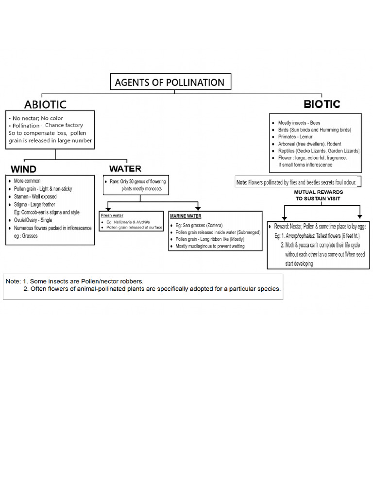 Agents of Pollination | PDF