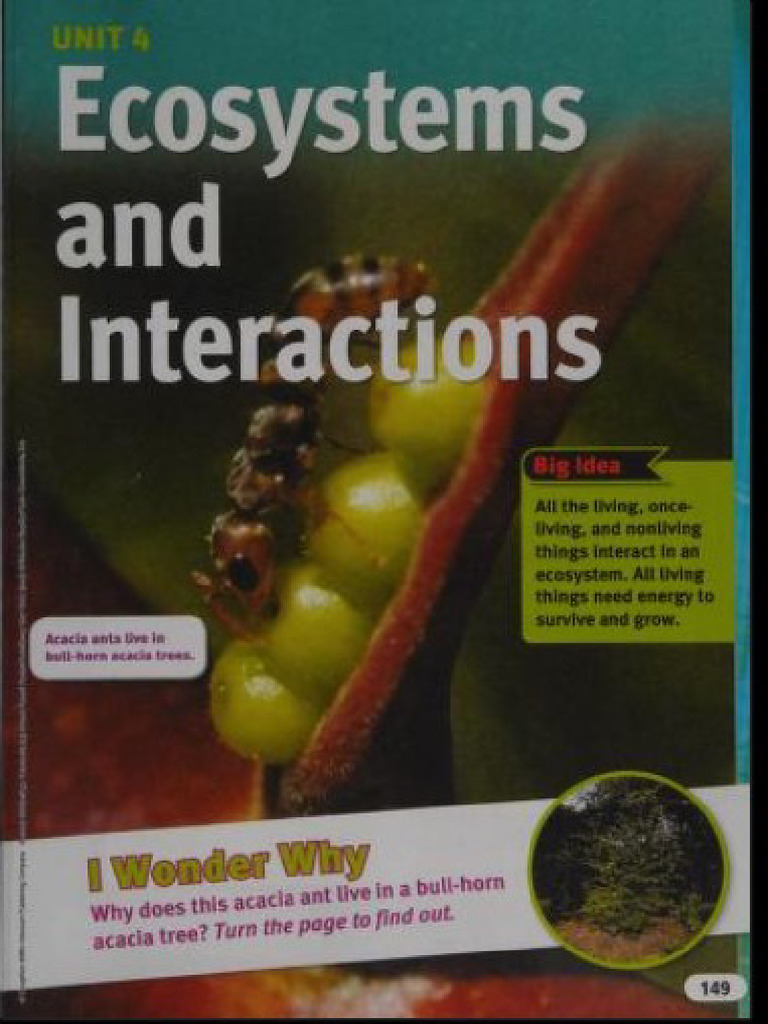 Science Fusion Unit 4 | PDF