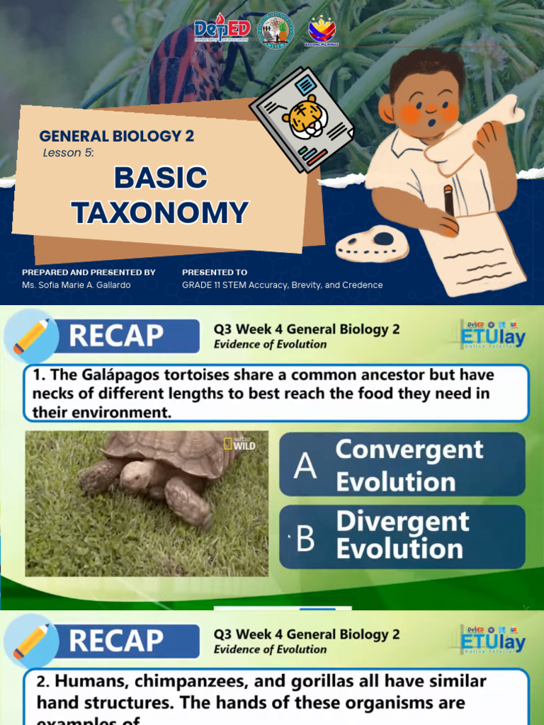Grade 11 STEM Taxonomy Lesson 5 | PDF