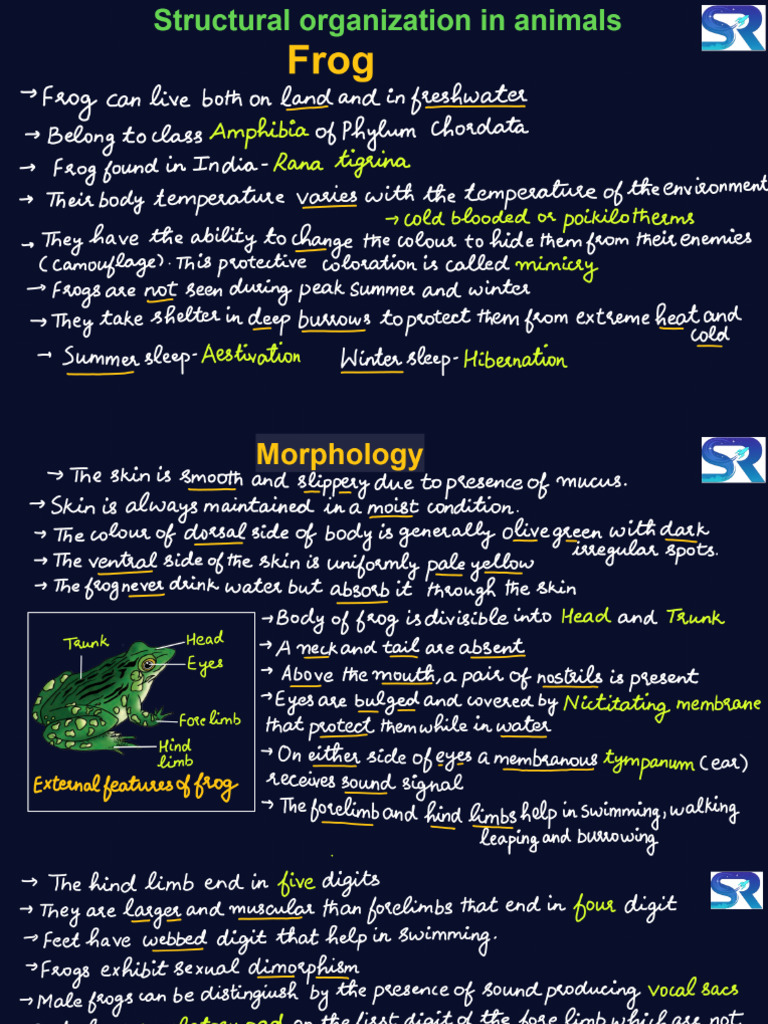 Frog | PDF