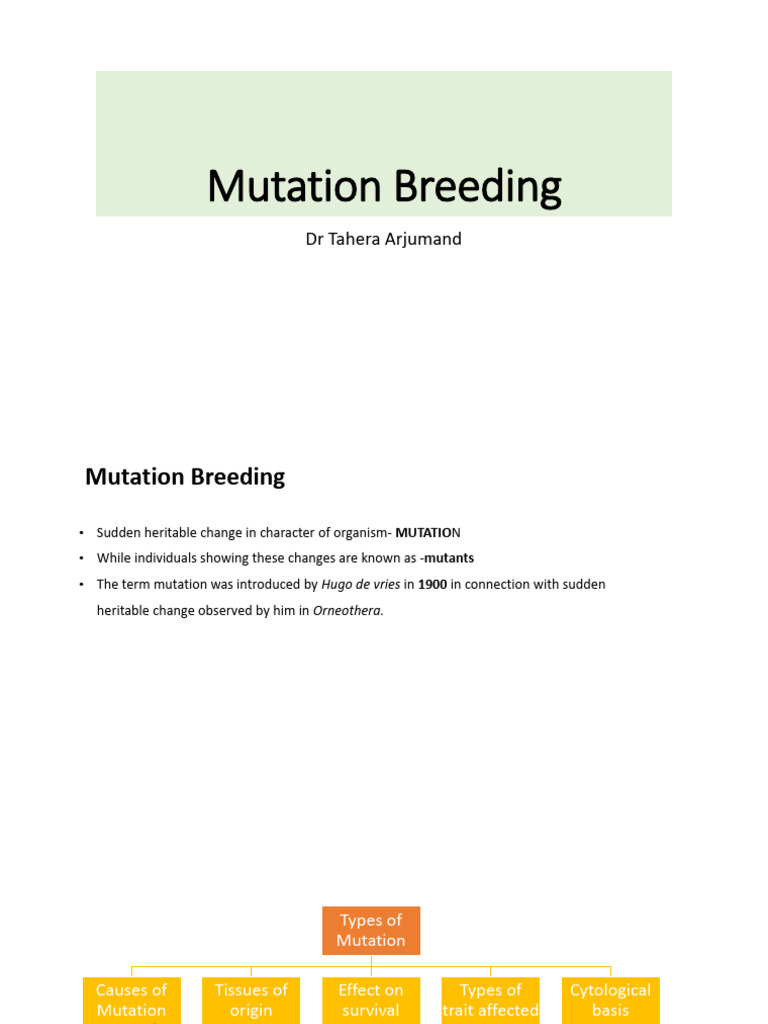 Mutation Breeding Techniques Explained | PDF | Mutation | Genetics