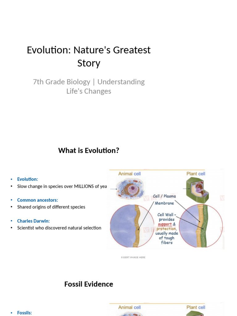 Understanding Evolution for 7th Graders | PDF | Evolution | Natural ...