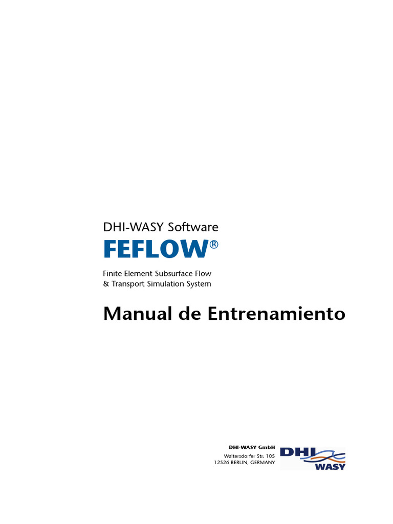 Manual de Entrenamiento en FEFLOW | PDF | Botón (Computación) | Ventana ...