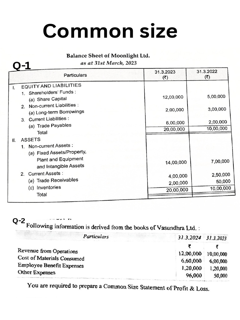 Common Size - 20251231 - 143348 - 0000 | PDF