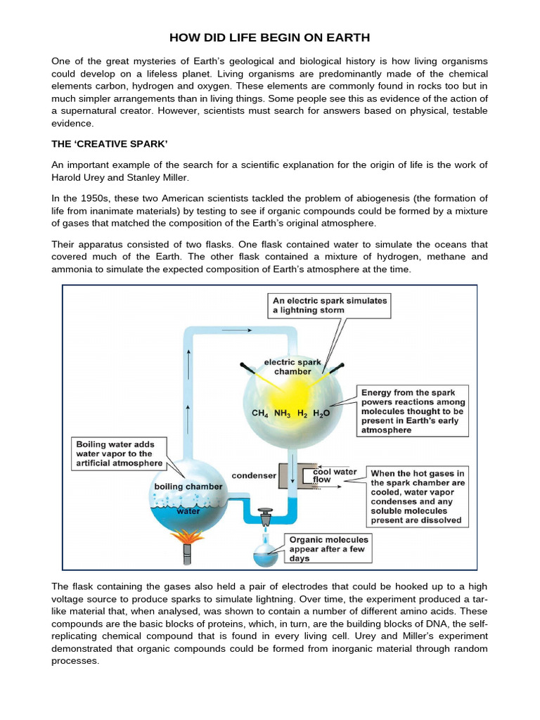 Origin of Life on Earth Explained | PDF | Large Hadron Collider ...