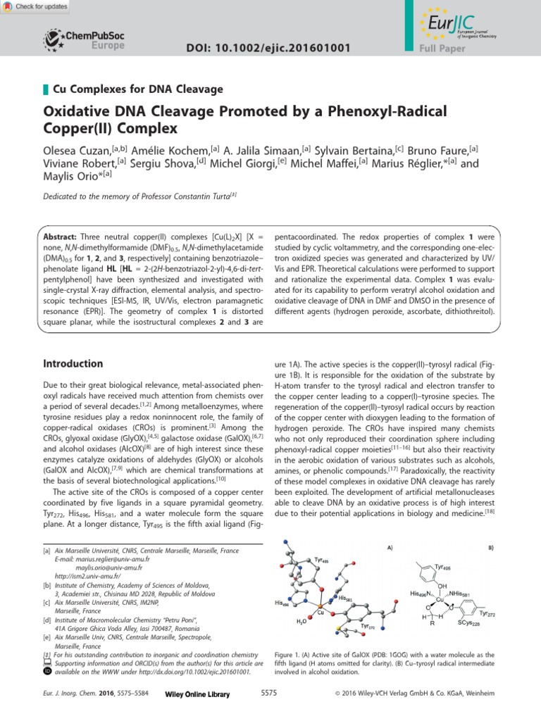Eur J Inorg Chem - 2016 - Cuzan - Oxidative DNA Cleavage Promoted by a ...