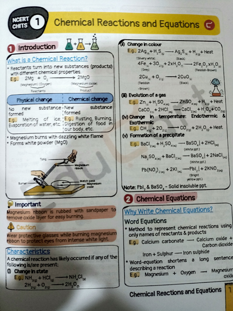Science | PDF