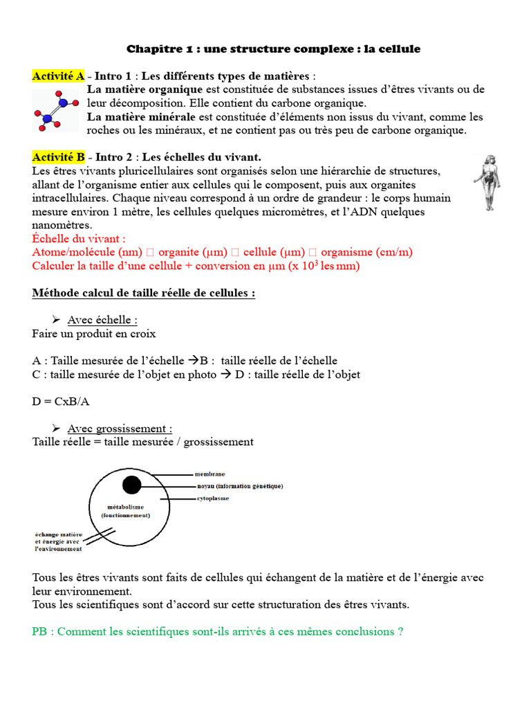 Structure et Fonction de la Cellule | PDF | Cellule (Biologie ...