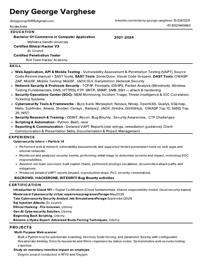 Cybersecurity Intern Profile and Skills | PDF | Security | Computer ...