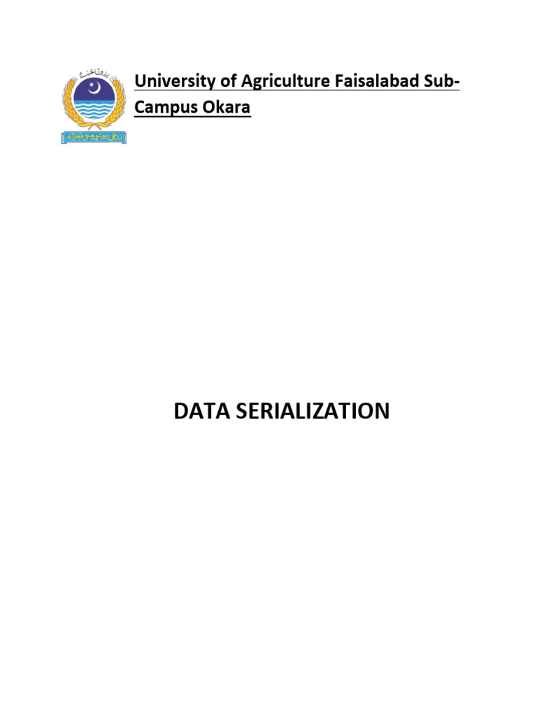 C++ Data Serialization Explained | PDF | Computer File | Json