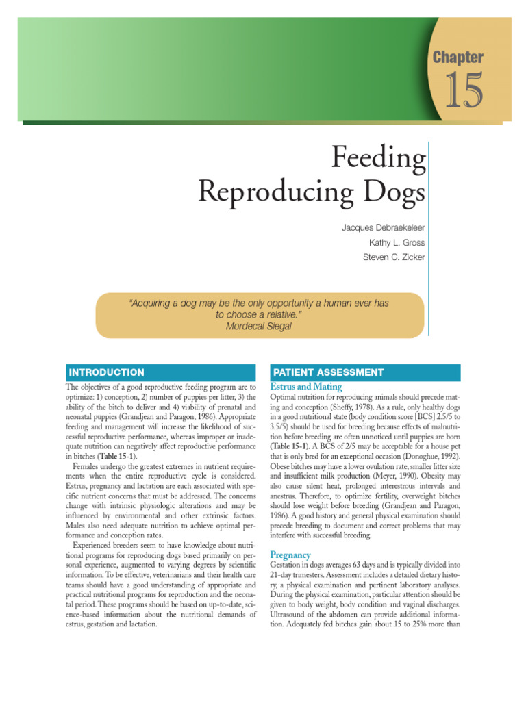 Nutrition for Reproducing Dogs | PDF | Pregnancy | Calorie