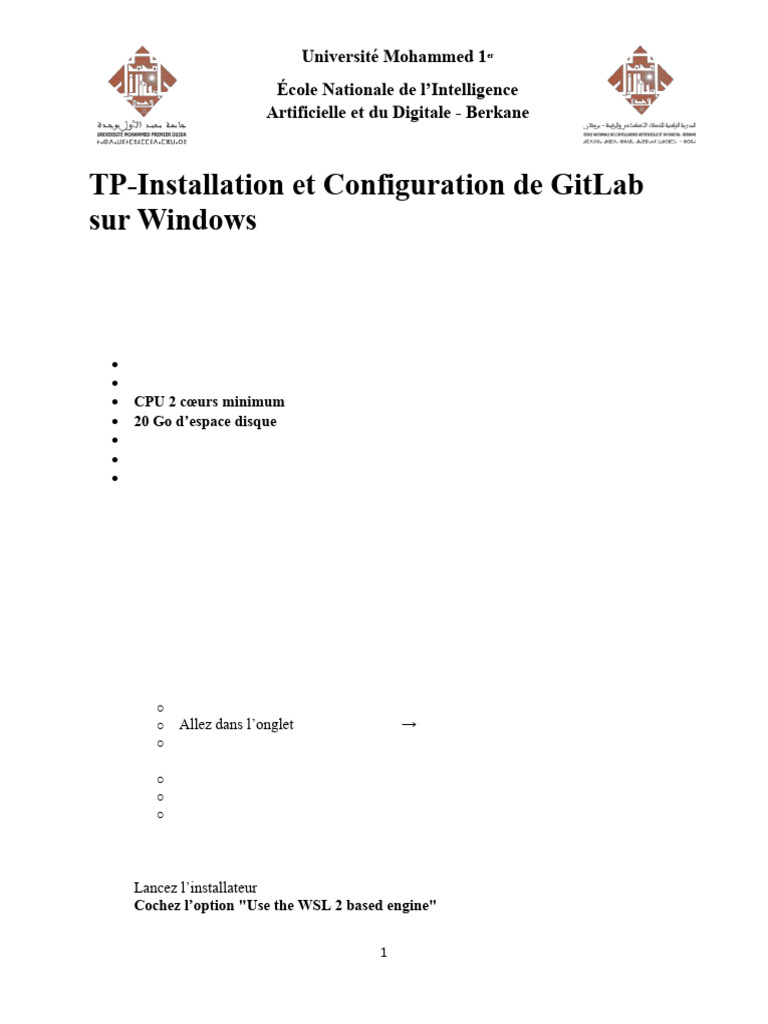 Installer GitLab sur Windows avec Docker | PDF | Microsoft Windows ...