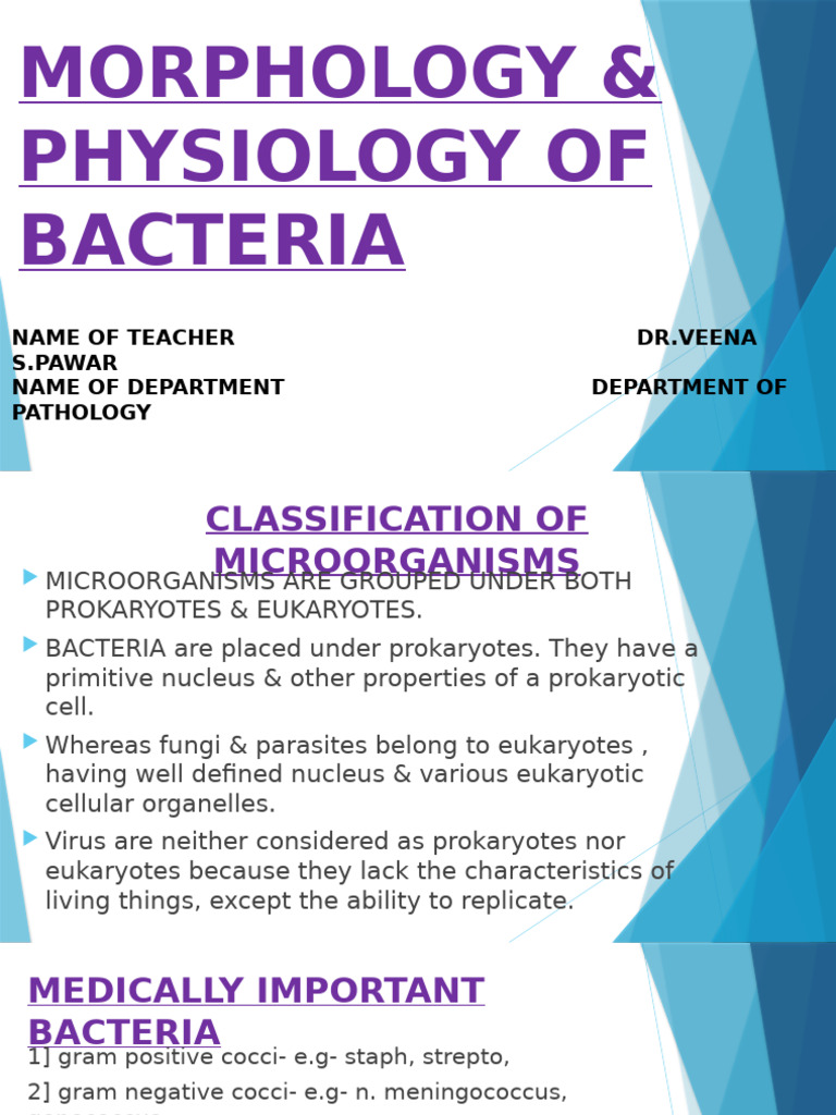 Bacterial Morphology and Physiology Guide | PDF | Bacteria | Cell (Biology)