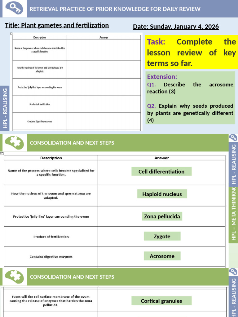 Plant Gametes and Fertilization | PDF | Fertilisation | Reproduction