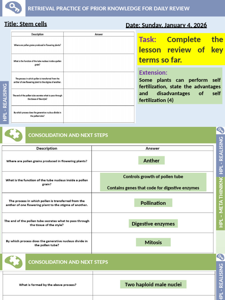 Plant Gametes and Stem Cell Potency | PDF | Cell Potency | Cellular ...