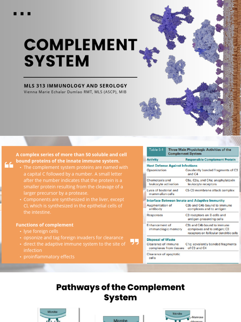 Understanding the Complement System | PDF | Complement System | Medical ...