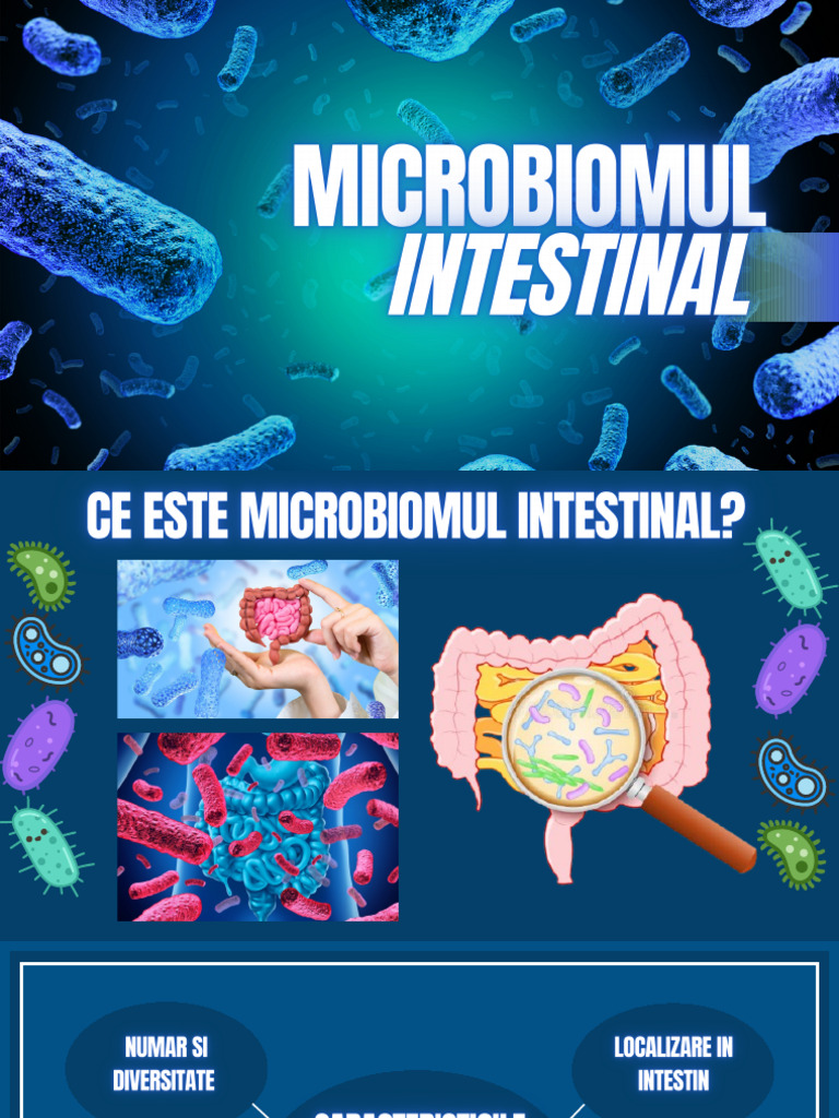 Microbiomul Intestinal - 20260104 - 145612 - 0000 | PDF