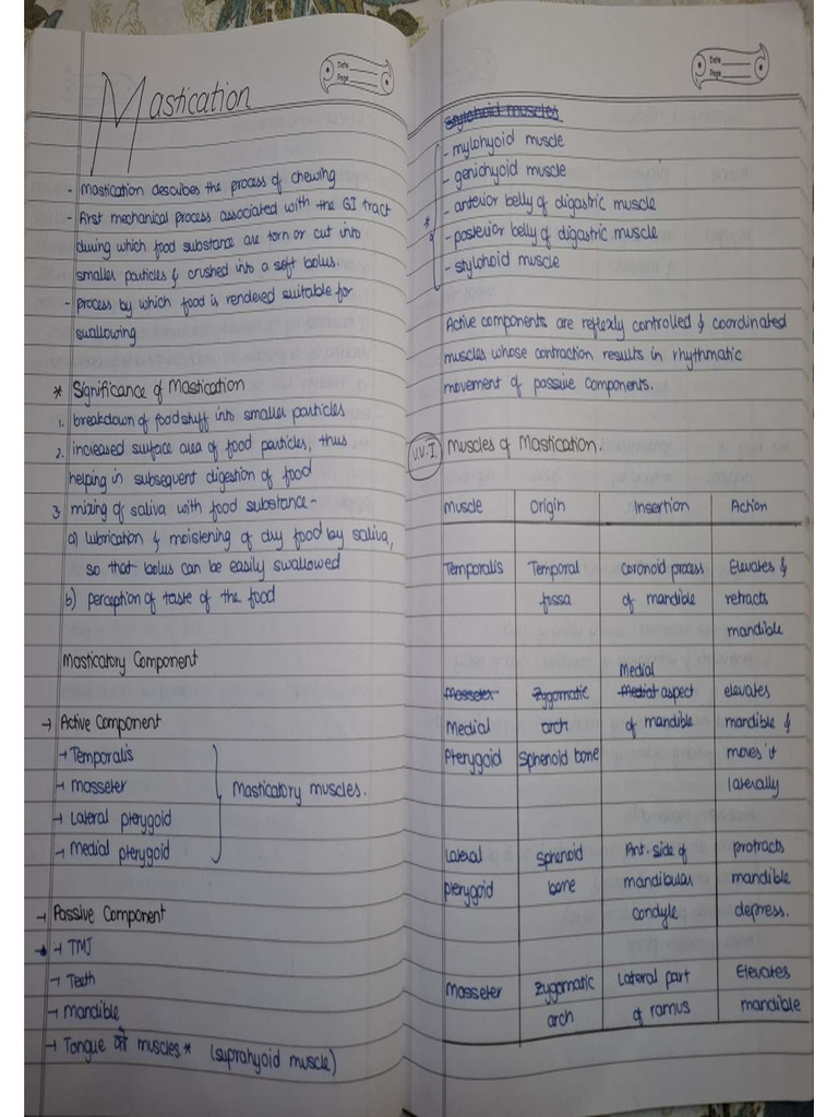 Physiology | PDF