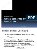 Fungsi Geometris Dan Hubungan Input-Input