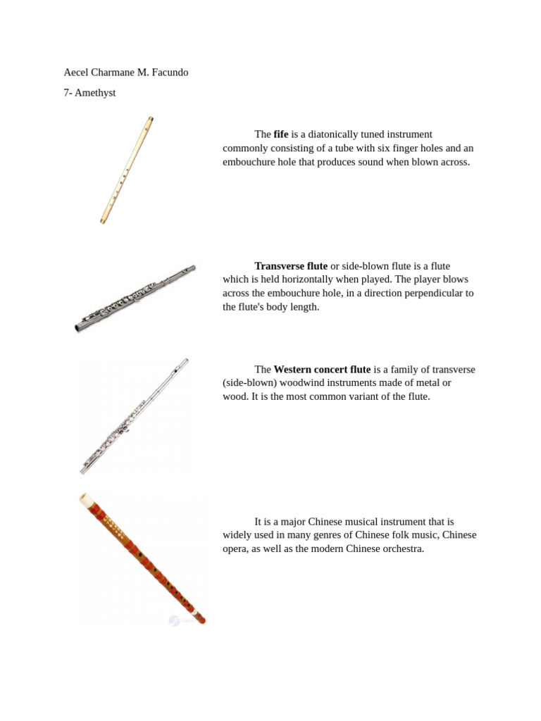 Overview of Woodwind Instruments | PDF