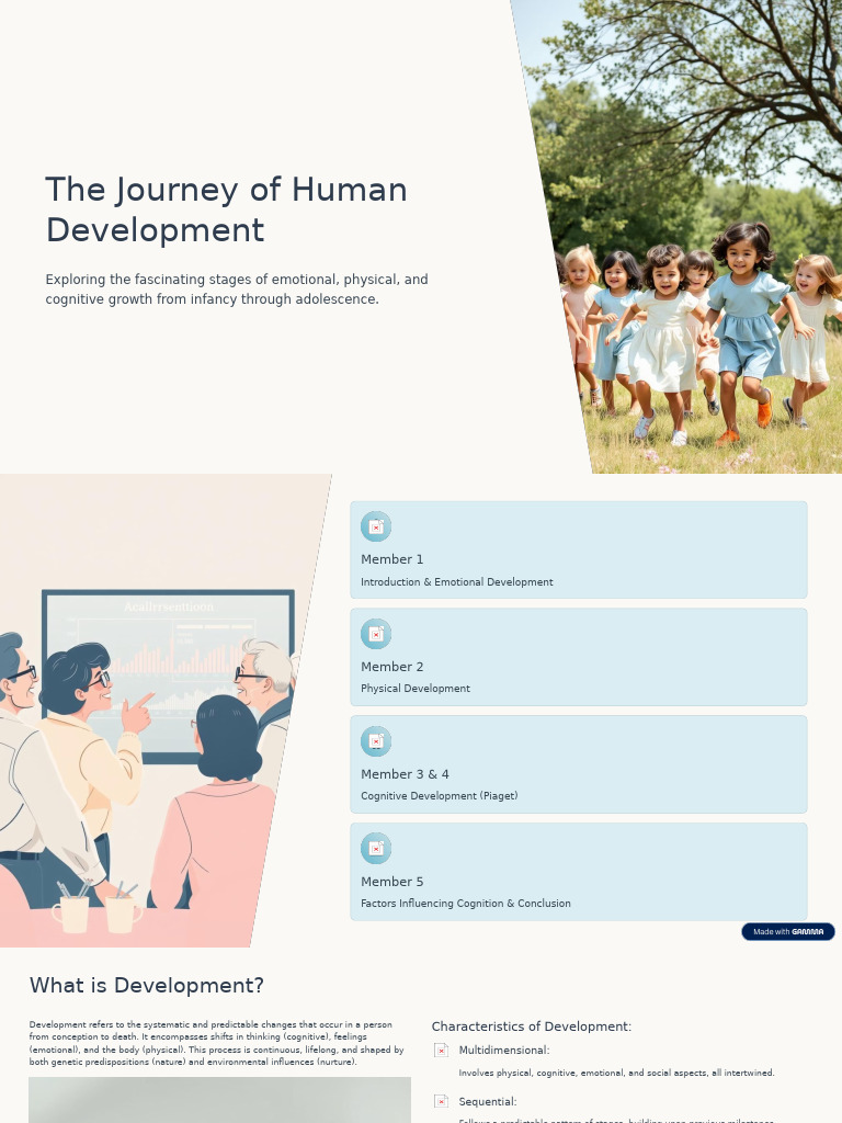 Stages of Human Development Explained | PDF | Psychology | Neuroscience