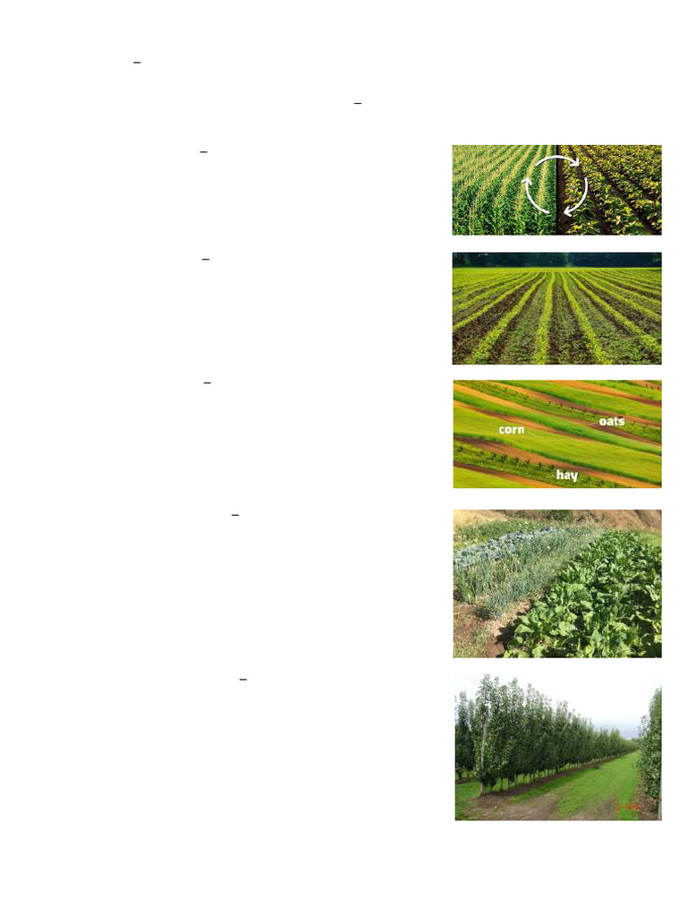 Effective Soil Conservation Practices | PDF | Soil | Agriculture