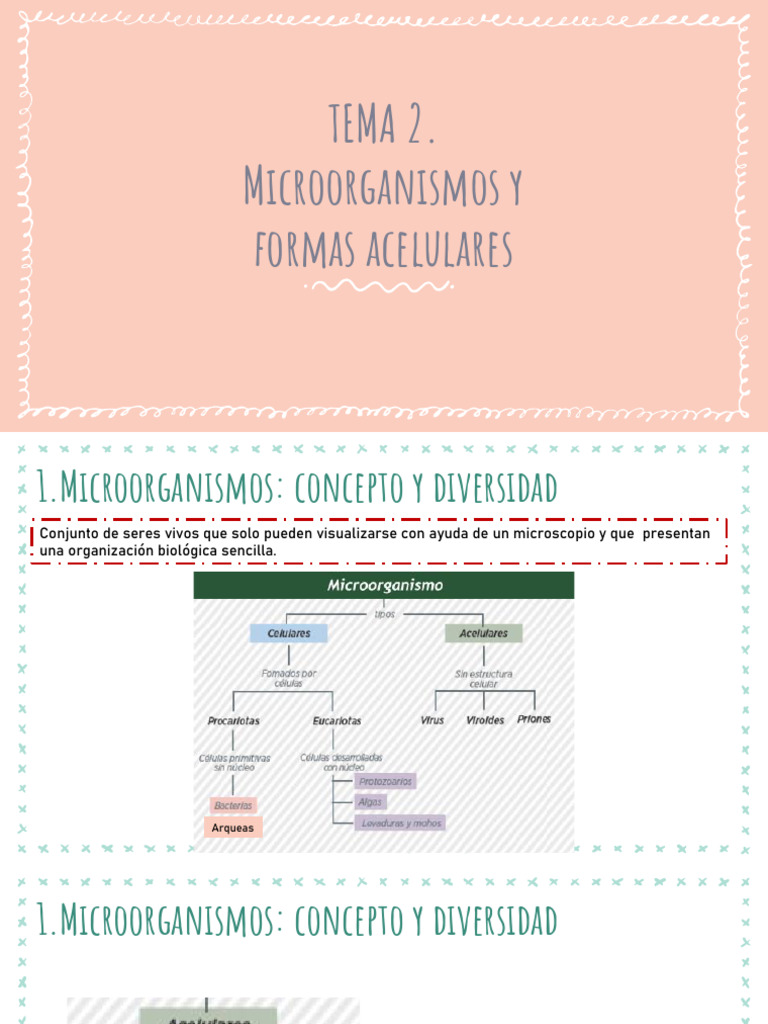 Microorganismos: Tipos y Funciones | PDF | Las bacterias | Infección
