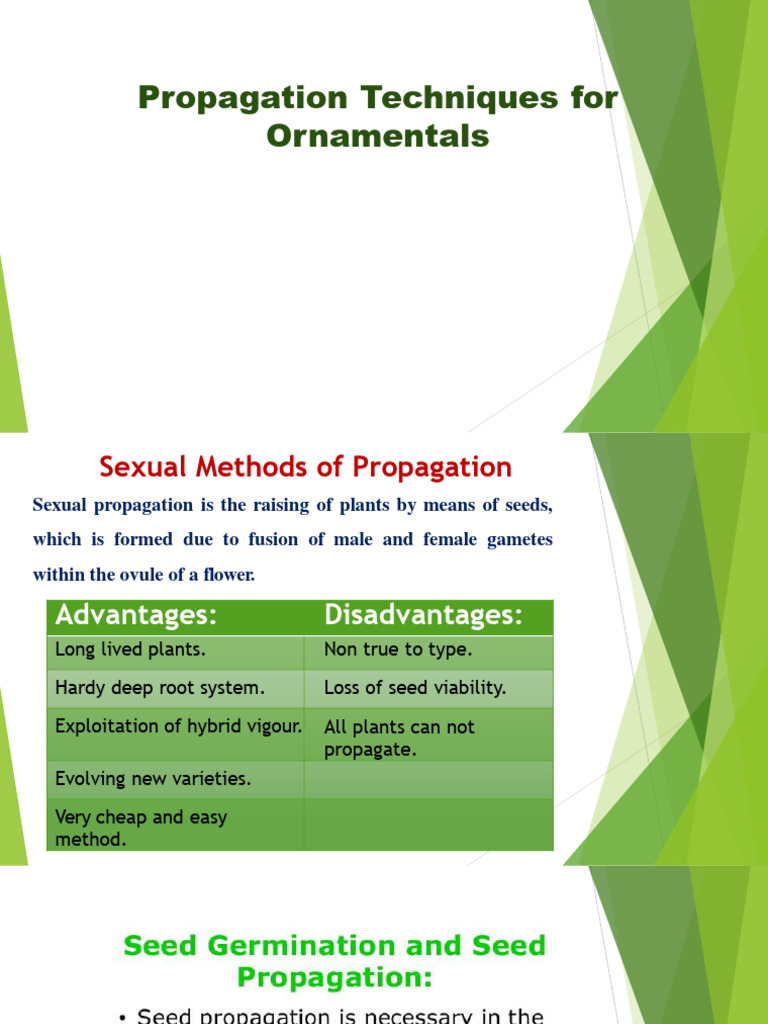 Propagation Techniques For Ornamentals | PDF | Grafting | Leaf