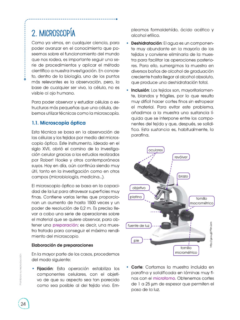 Microscopio Optico | PDF