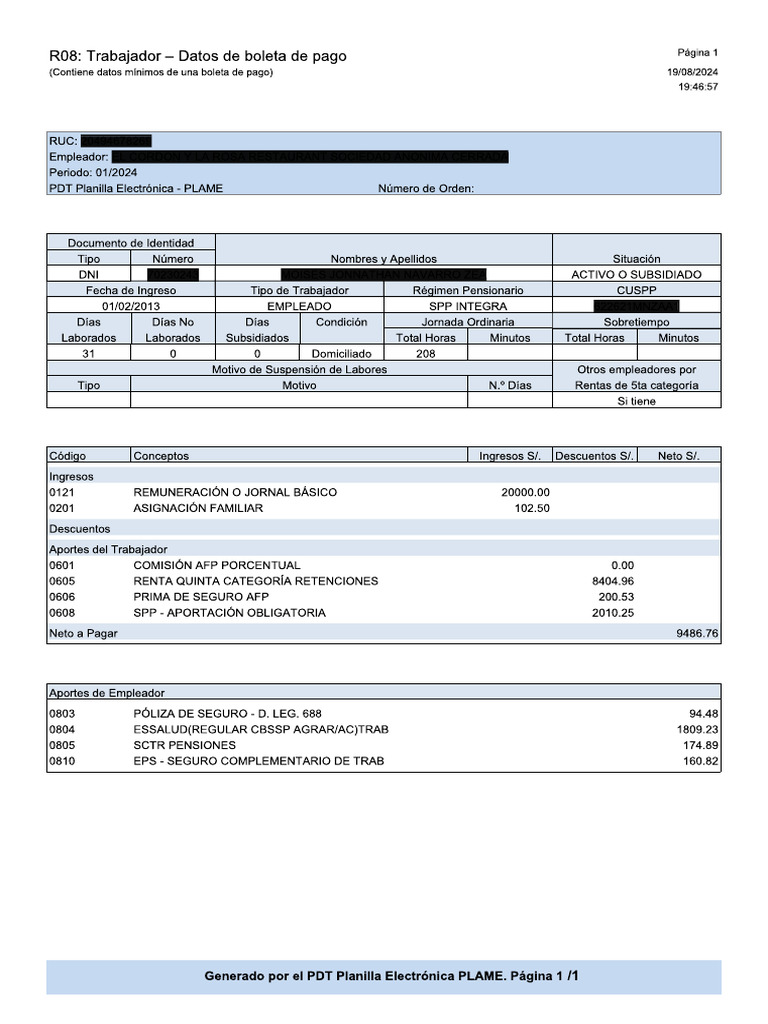 Modelo Reporte R08 PLAME V1 | PDF