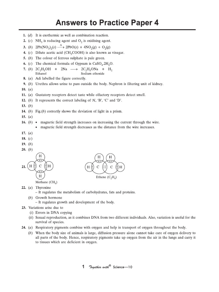 Science 4 | PDF