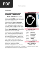 Download PARASITOLOGI CACING by Topan Ji-shunk SN97592854 doc pdf