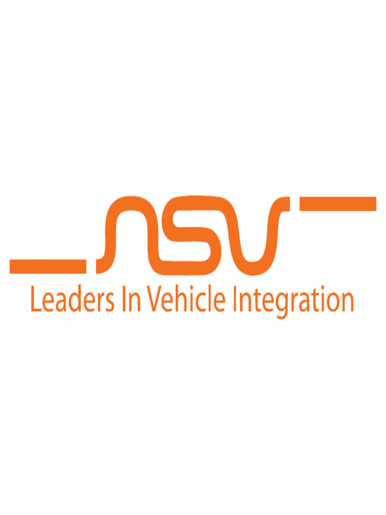 NSV Solid Logo | PDF